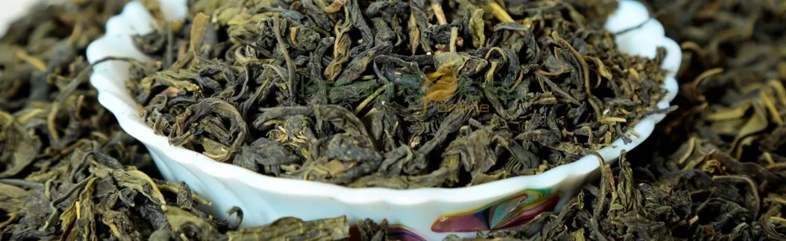 Untitled design (11)