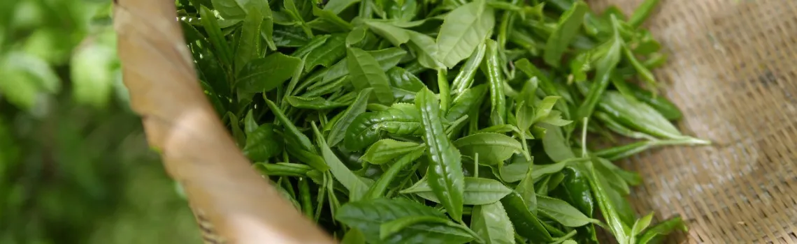 Untitled design (12)