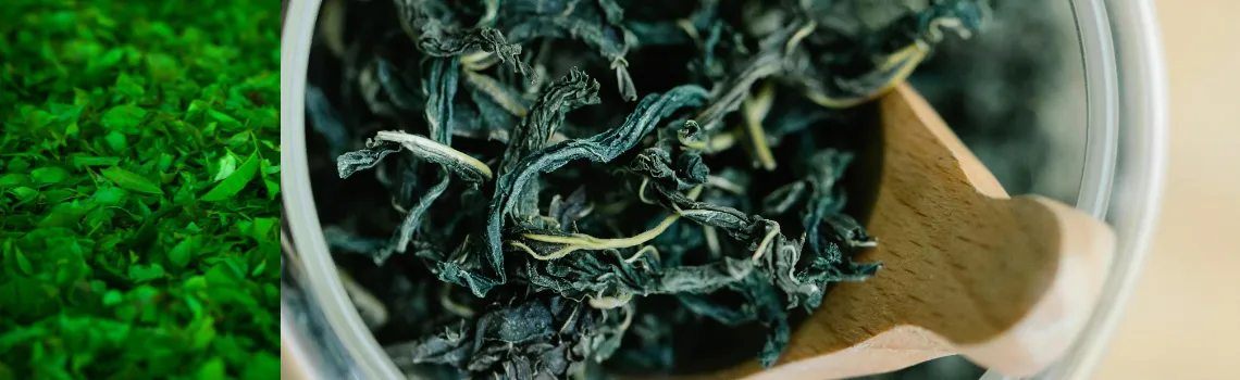 Untitled design (14)